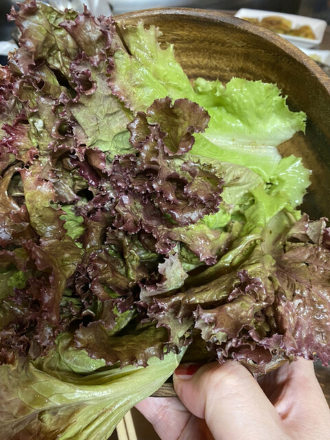 黒門豚美人的實拍高清圖