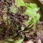 黒門豚美人的實拍圖