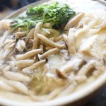 田吾作的实拍图