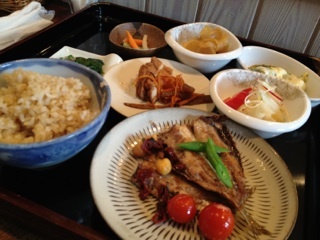 recommendations for CACHE CACHE