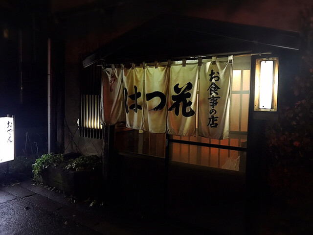 はつ花的實拍高清圖