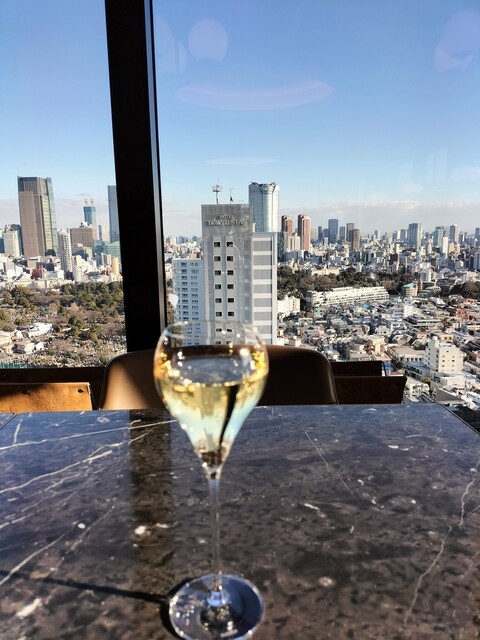 THE AOYAMA GRAND HOTEL的實拍高清圖