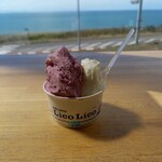 recommendations for GELATO LicoLico 厚田店