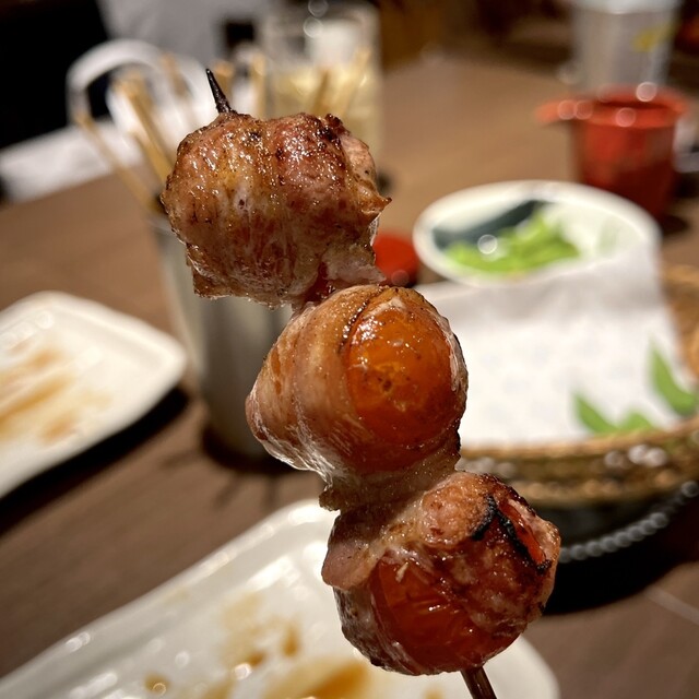 あほう鳥的實拍高清圖