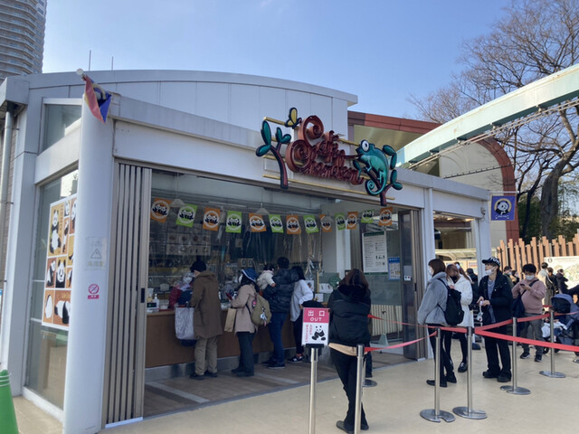上野動物園 カフェカメレオン的实拍高清图