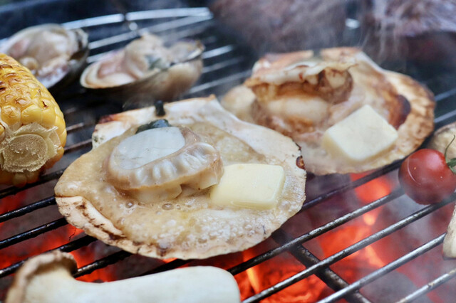 UP CAMP的实拍高清图