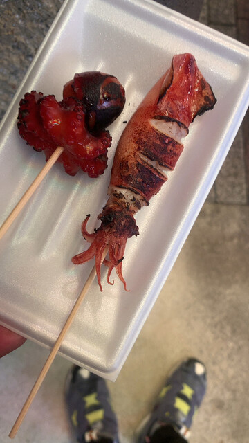 櫂的實拍高清圖