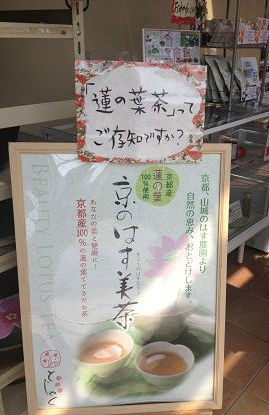 杜若園芸的实拍高清图