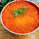 魚塚的實拍圖