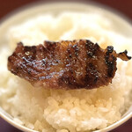 recommendations for 花水木