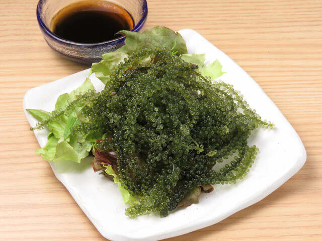 沖縄遊食 めんそーれ的实拍高清图