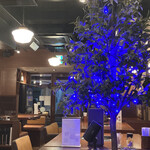 Ittetsu Grazie的实拍图