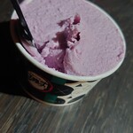 円山ジェラート No.24 HACO店的实拍图