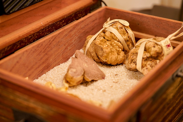 recommendations image for ボニュ