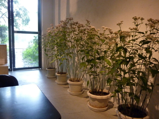 recommendations image for VADE MECVM. Showroom #2