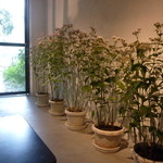 recommendations for VADE MECVM. Showroom #2