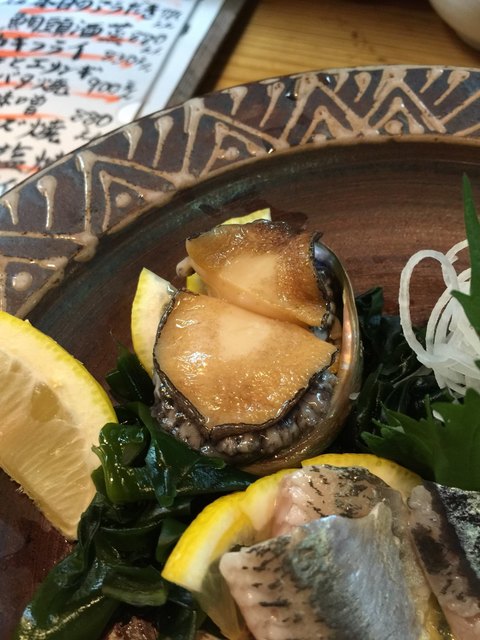 わらきたれ的实拍高清图