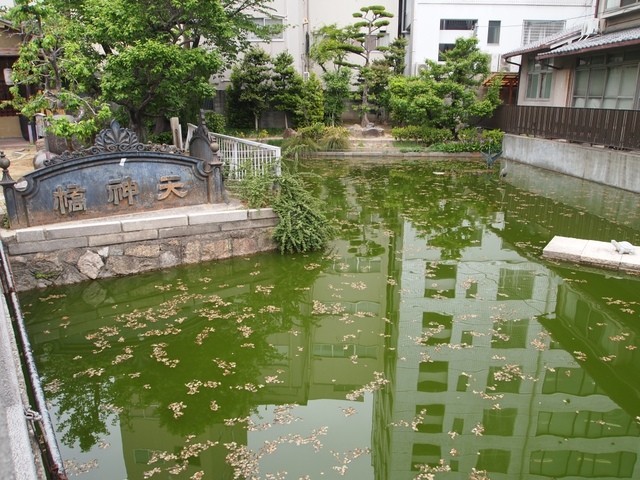星合茶寮的實拍高清圖