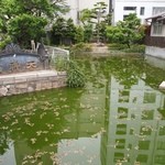 星合茶寮的實拍圖