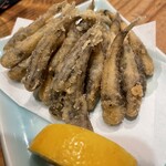 たもいやんせ 新宿店的實拍圖