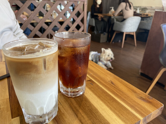 CAFE TANTON的實拍高清圖
