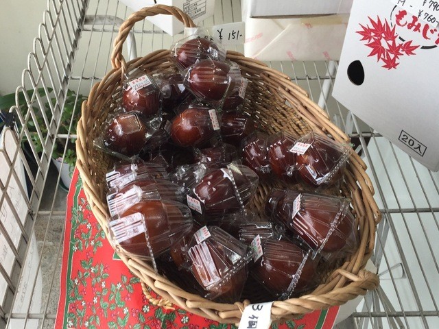 石川養鶏場的实拍高清图
