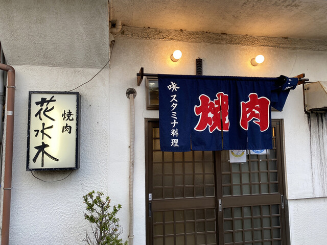 recommendations image for 花水木