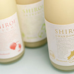 recommendations for YOKOMACHI