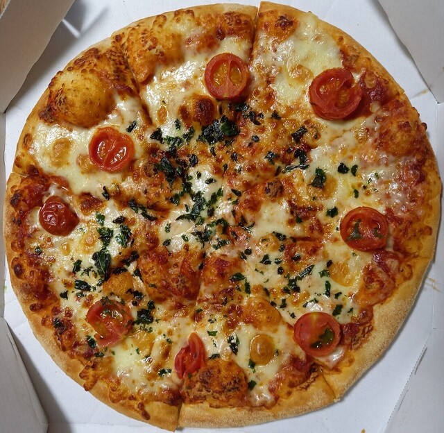 recommendations image for ドミノピザ 大泉学園店