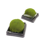 recommendations for 辻利兵衛本店 大阪店