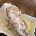 かどや魚丸的實拍圖