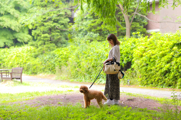 レストラン セントロ的實拍圖