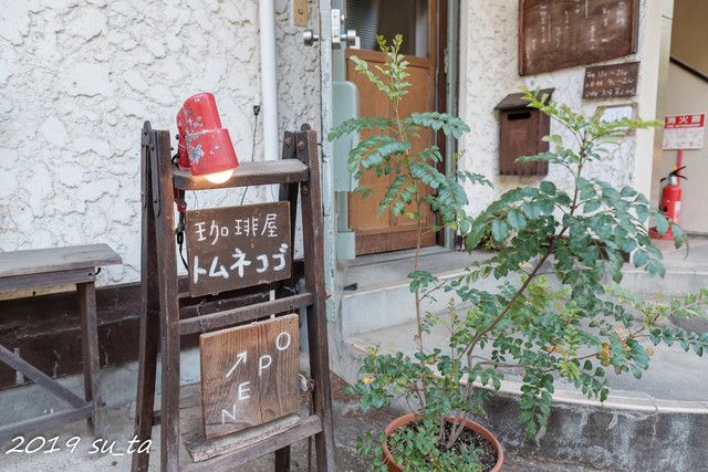 トムネコゴ的實拍高清圖