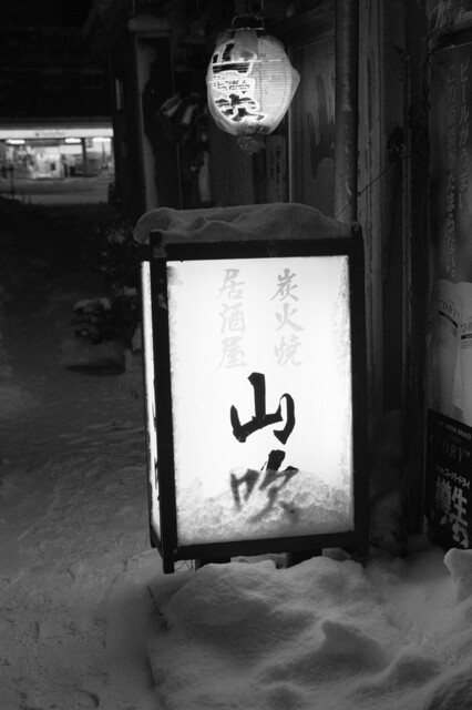 山吹的实拍高清图