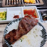 焼肉 六甲園的實拍圖
