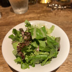 recommendations for Daniel's Mondo