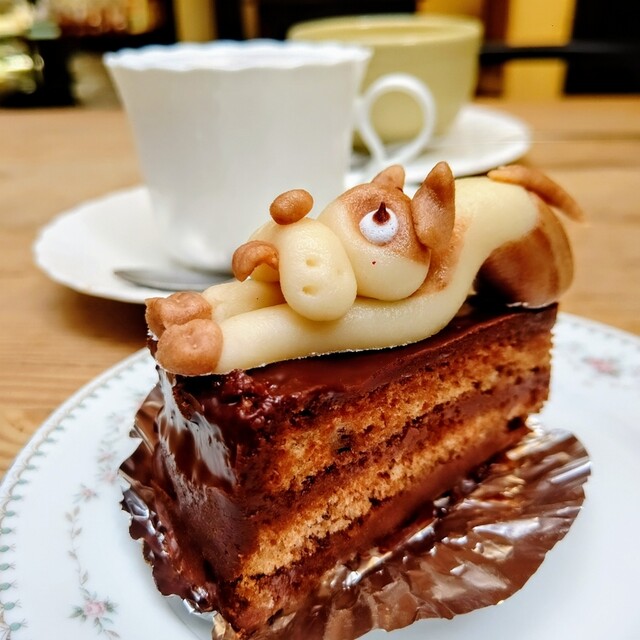 ジェイ クック的實拍高清圖