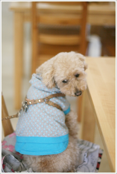 シアン ア ラ モード的實拍圖