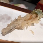 まる家的实拍图