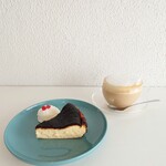 recommendations for papillon