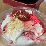 recommendations for TOYOUKE STAND