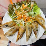 フォーエン95的实拍图