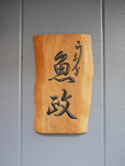 魚政的實拍高清圖