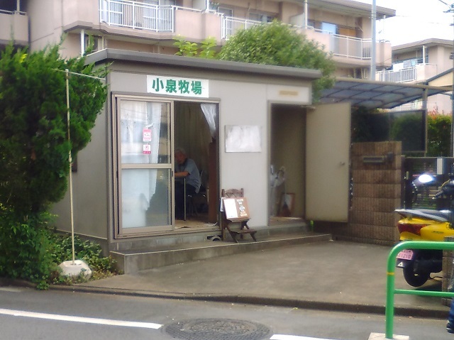 小泉牧場的实拍高清图