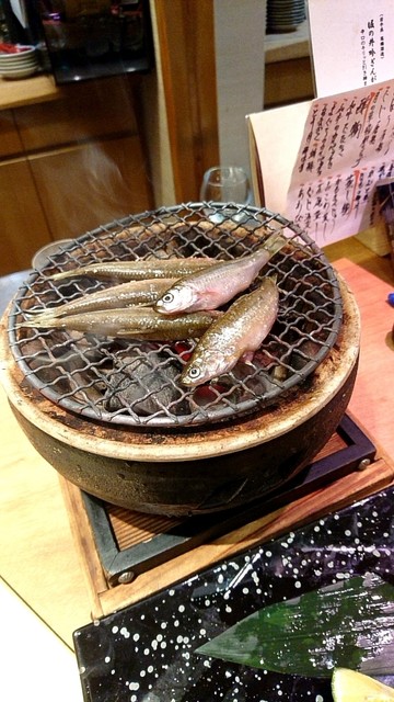 月の華的实拍高清图