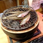 月の華的实拍图
