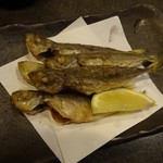 recommendations for 食彩や　 魚太郎 ひばりが丘店