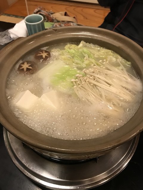 鳥久的實拍高清圖