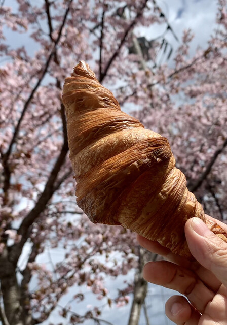 アンジュ的实拍高清图