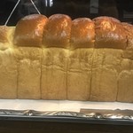 カナリヤ的实拍图